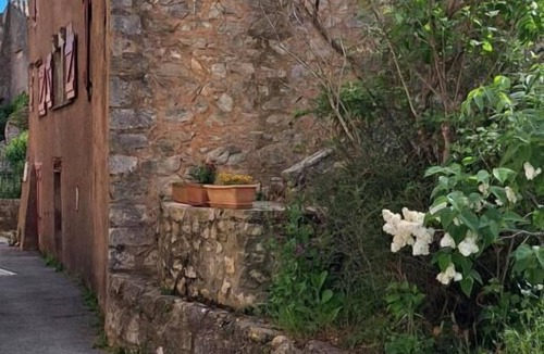 Fox-Amphoux House | The painter's studio