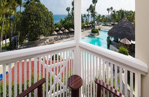 Los Brazos House | The Tropical - Junior Suites