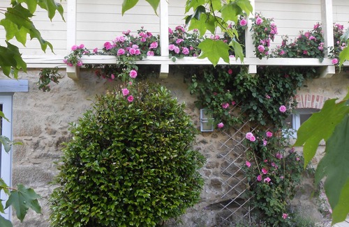 Boisset House | Tiny and very comfortable traditionnal Cottage for 2-3 people; garden and pool