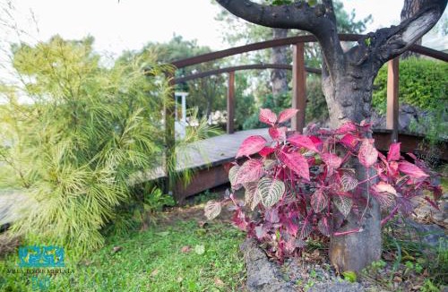 Boscoreale Bed & Breakfast | Torremerlata B&B