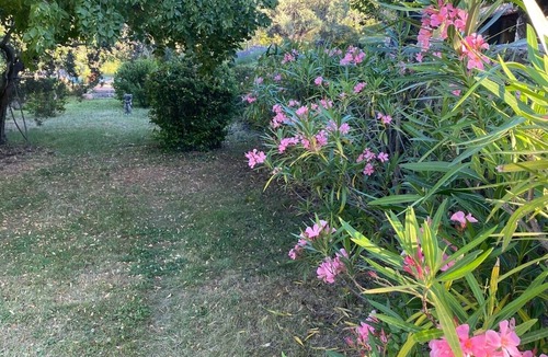 Fayence House | Traditional farmhouse set in 5 hectares of gardens. Disconnection guaranteed!