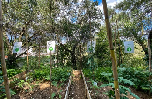 Salerno Apartment | Trotula Family Apartment Free Wi-Fi Olive Grove Free Parking Rela