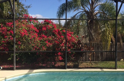 Indian Point House | Vacation Home In Kissimmee, Florida