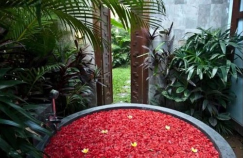 North Legian Villa | Villa Amira Legian
