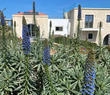 Douliana Villa | Villa Annie Crete - Private Luxury Villa with Sea and Mountain Views