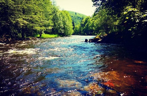 Bromont House | Villa Colombier