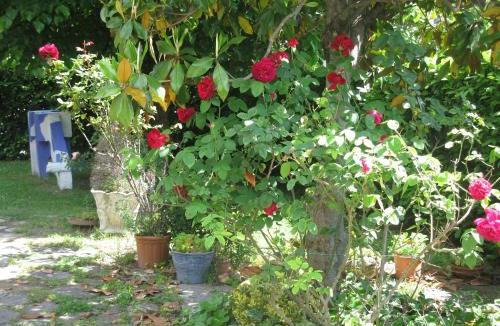 Bagno di Romagna Villa | villa gesualda