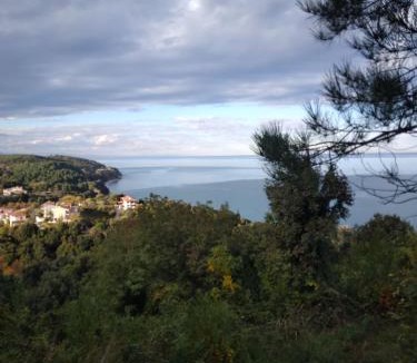 Agia Apartment | Villa Gialos Ηλέκτρα