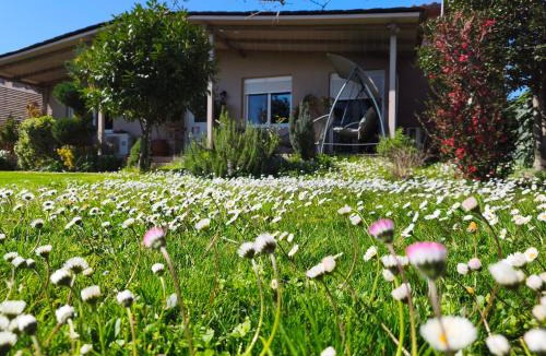 Gomfoi Apartment | Villa Gomfoi Trikala - Smart Town BnB