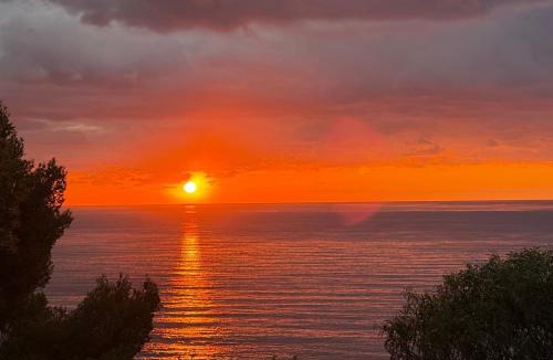 Rayol-Canadel-sur-Mer Villa | Villa la Malpagne, 400m2 les pieds dans l'eau