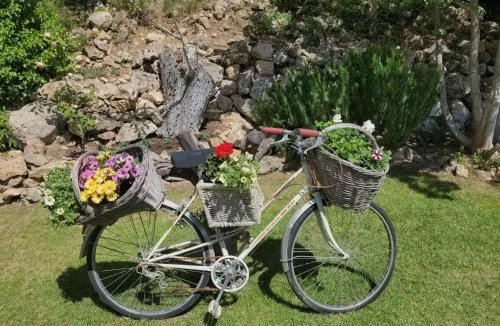 Besse-sur-Issole House | Villa Les palmiers en Provence - Logement cosy 4 pers
