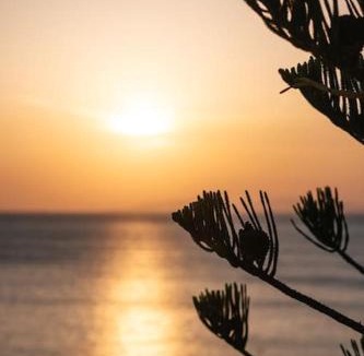 Palaia Fokaia Villa | Villa Mare Nostrum Sounio