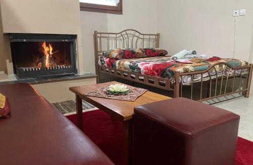 Elassona House | Villa Olympus