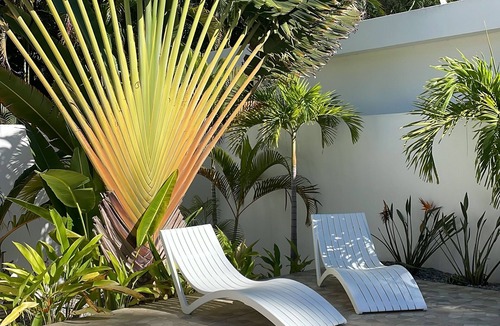 El Centro House | Villa PARADA TROPICAL