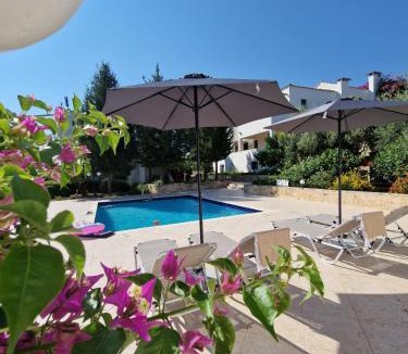 Douliana Villa | Villa Penelope Stone Retreat with Pool in Crete