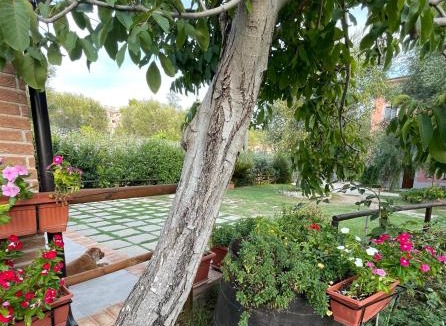 Palinuro Bed & Breakfast | Villa Rosada