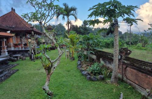 Selat Villa | Villa Taman NEAR SIDEMEN