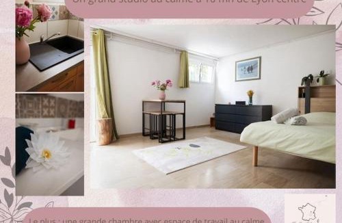Corbas Apartment | Visitez Lyon Studio frais & cosy Lyon - Eurexpo - LDLC Arena