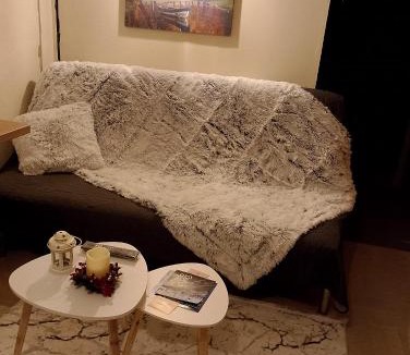 Trikala Apartment | Vivi's Central Apartment