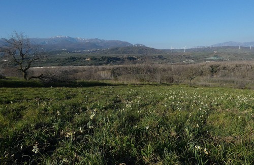 Serre House | Your Refuge in Cilento Park: Among Nature, History, and Relaxation