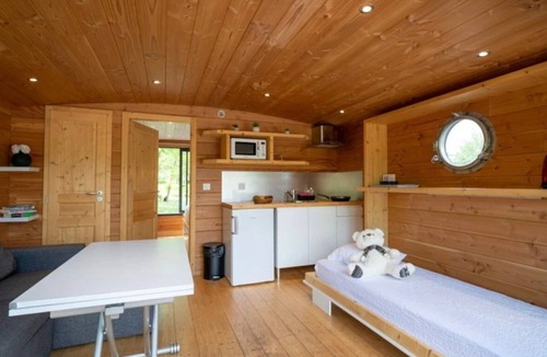 Chassenard Cabin | ZEcamping piscine chauffée pet friendly locatif BBQ clim 25m2 5 pers