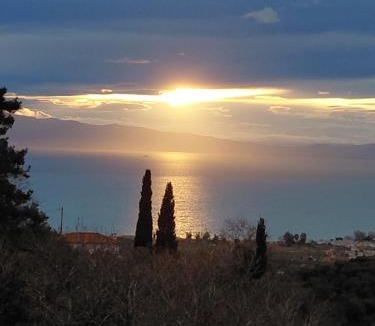 South Pelion Apartment | Zelis In Pelion Greece