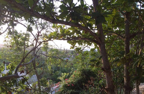 Runaway Bay Cottage | Zen Suite, A Private 2 Bedroom Hideaway