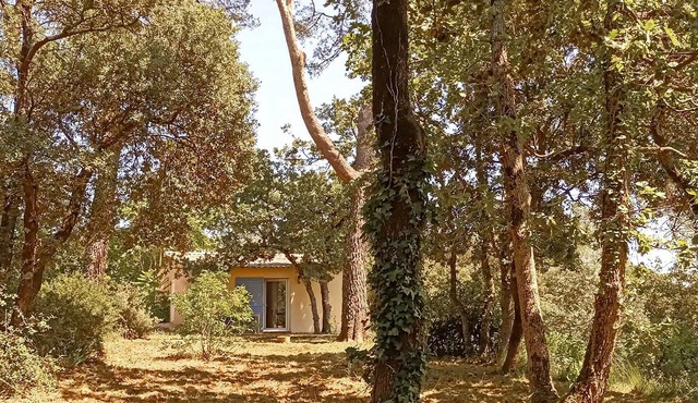 1 bedroom nice home in Besse sur Issole