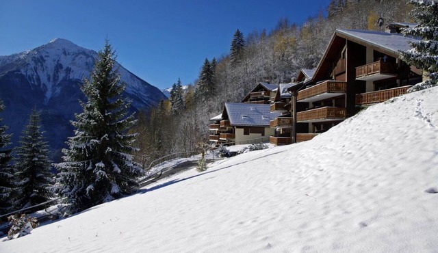 100m from resort center, Ground floor, balcony, parking, tv, ski locker, 19m², Champagny-en-Vanoise