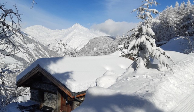Alpine chalet Les Arcs 1600, pets allowed, shops 2 min ski away