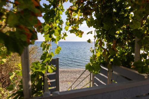 Ammoudeli Apartments - Beachfront Apartments in Plomari