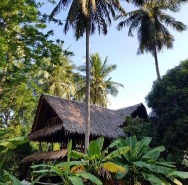 Antonio's Ko Yao Noi