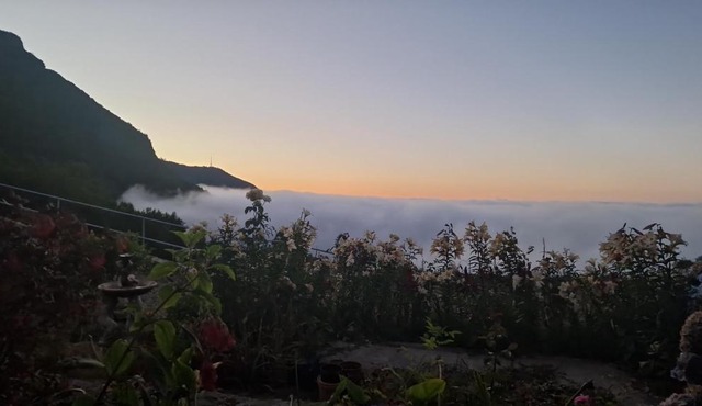 Apartament on the edge of the Teide National Park