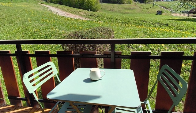 Appartement "Le Bouquetim " Au Pied des Pistes de ski Départ de Rando et Vélo