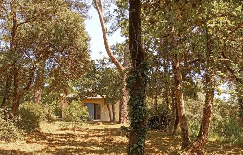 Awesome Home In Besse Sur Issole With Wifi