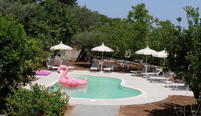 B & B Korello