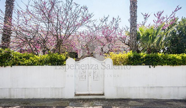 Breezy Beach House