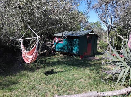 Cabane sous les oliviers