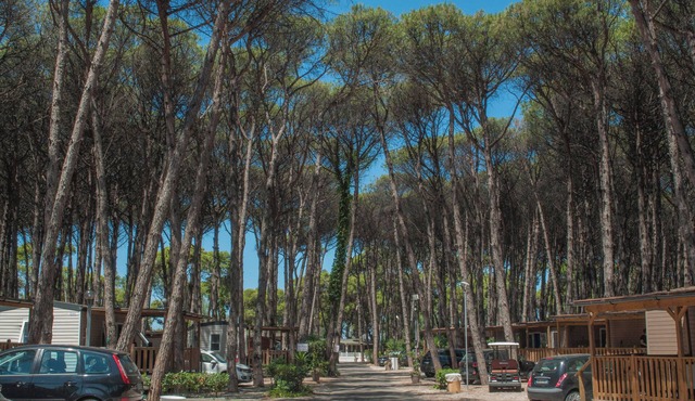 Camping Village Mare Pineta