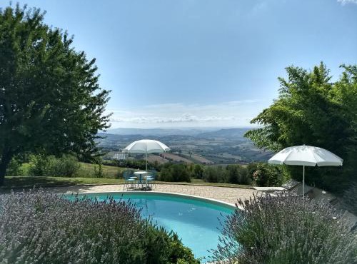 Case Leonori