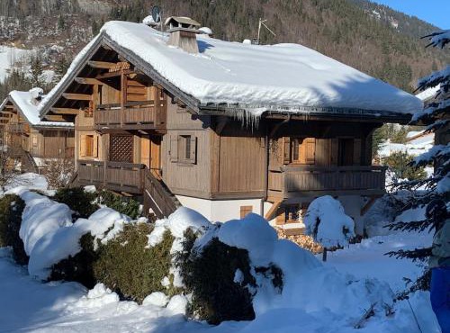 Chalet avec sauna et proximité pistes ski sur PRAZ SUR ARLY