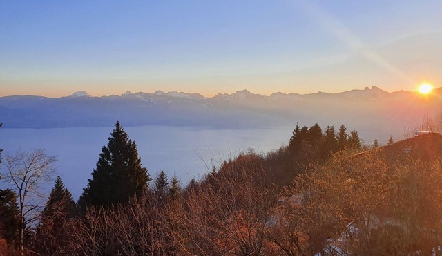 Chalet Chalon