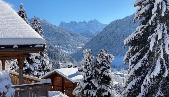 Chalet 10P