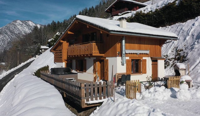 Chalet near Lake Annecy beach wifi jacuzzi private parking pets welcome