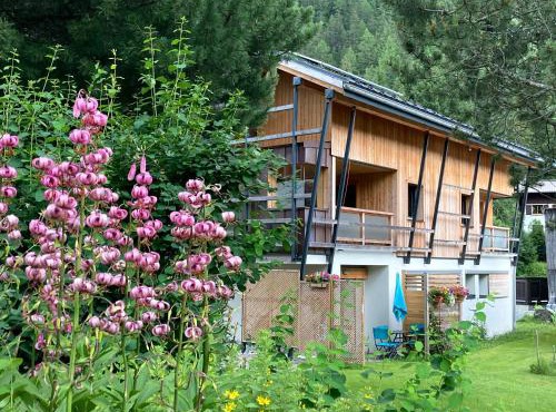 Chalet Walser à VALLORCINE 13 kms CHAMONIX France