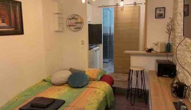 Charming downtown studio apartment