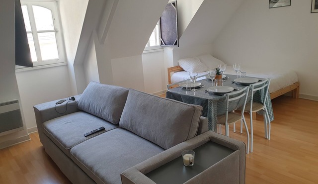 Charming functional studio downtown in Laval