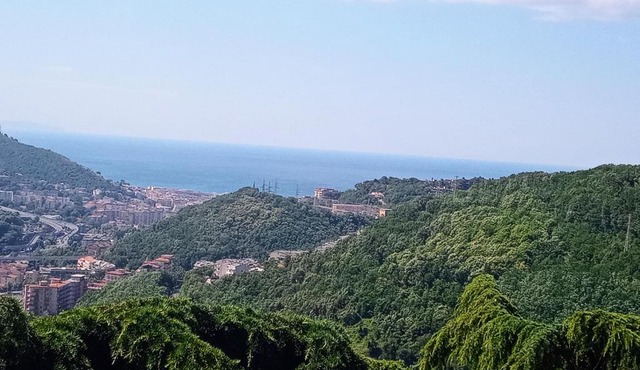 Collina Belvedere, appartamento indipendente in villa Salerno-Capezzano