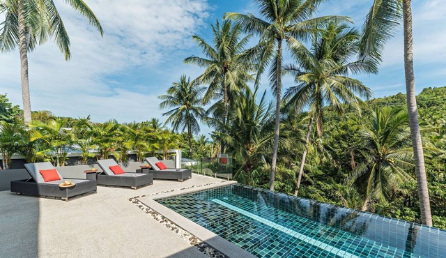 Contemporary villa 5 minutes from the beach with a view of the coconut grove and the sea