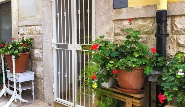 Deluxe Stone House